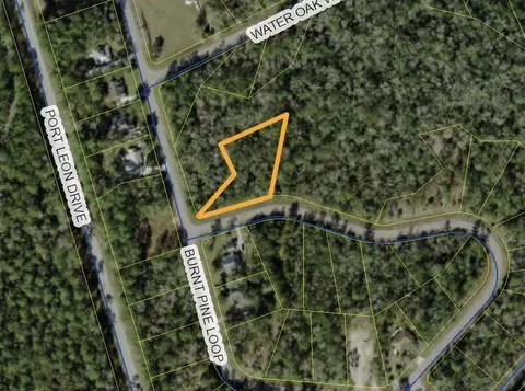 lot41 Burnt Pine Loop, Saint Marks, FL 32355 photo 6