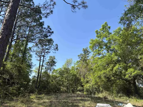 Nnn Three Rivers Road, Carrabelle, FL 32322