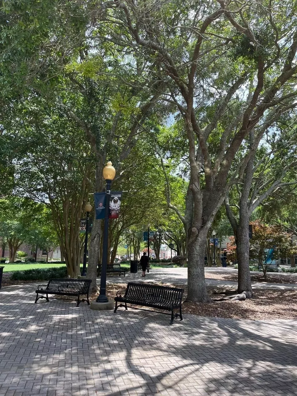 Exterior - 215 W College Ave #511, Tallahassee, FL 32301 photo 6 of 6