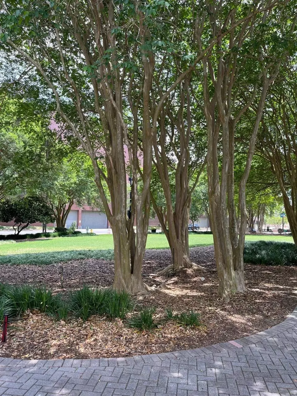 Exterior - 215 W College Ave #511, Tallahassee, FL 32301 photo 5 of 6