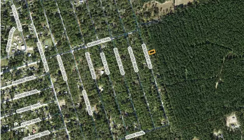 lot29 Iroquois Rd, Crawfordville, FL 32327