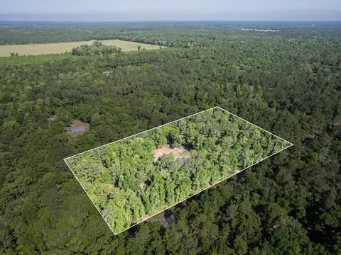 236 Forest Ln, Crawfordville, FL 32327