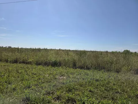 Nnn Oak Grove Road, Blountstown, FL 32424
