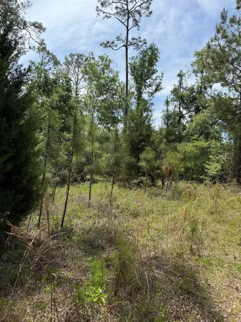 3345 E Us 27 Hwy, Perry, FL 32347 photo 4