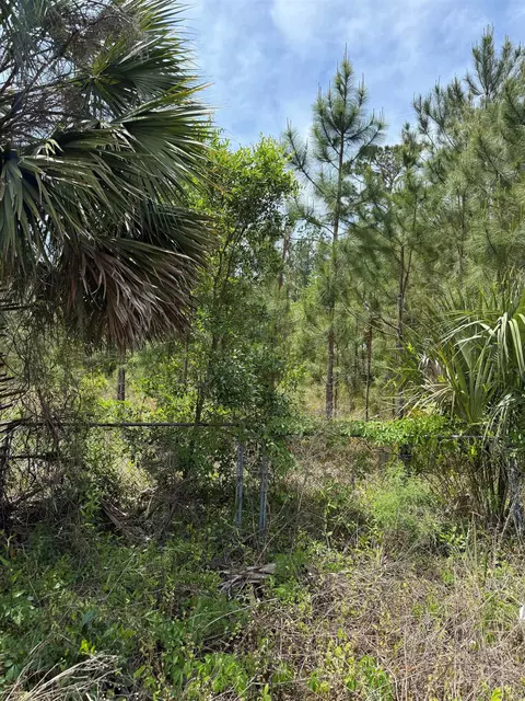 3345 E Us 27 Hwy, Perry, FL 32347 photo 6
