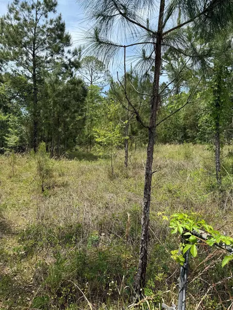 3345 E Us 27 Hwy, Perry, FL 32347 photo 3