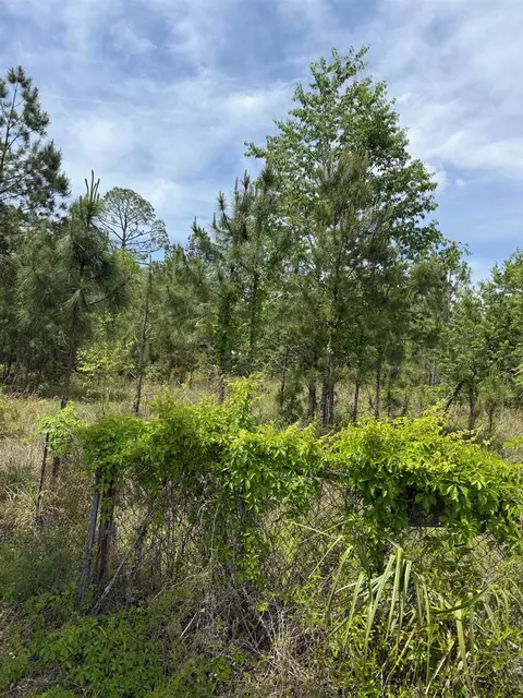 3345 E Us 27 Hwy, Perry, FL 32347 photo 2