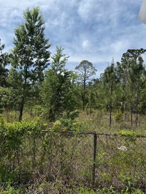 3345 E Us 27 Hwy, Perry, FL 32347 photo 5