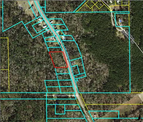 Nnn Lincoln Drive, Chattahoochee, FL 32324