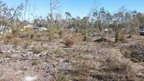 000 Pine Bluff Rd, Perry, FL 32348 photo 6