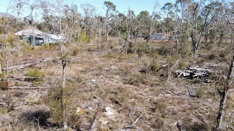 000 Pine Bluff Rd, Perry, FL 32348 photo 5
