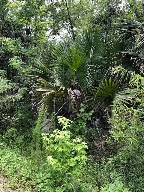 73 Hope Ln #-, Saint Marks, FL 32355 photo 13