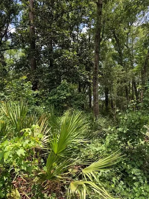 73 Hope Ln #-, Saint Marks, FL 32355 photo 17