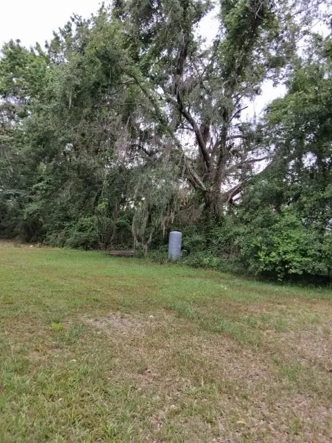 4618 E Capps, Lamont, FL 32336 photo 4