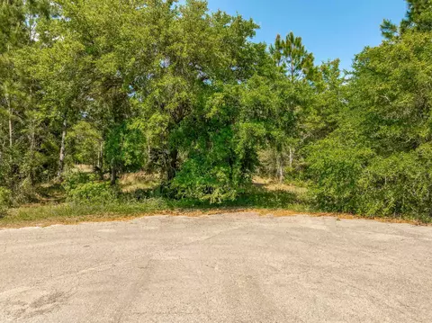 Simmons Court, Panacea, FL 32346