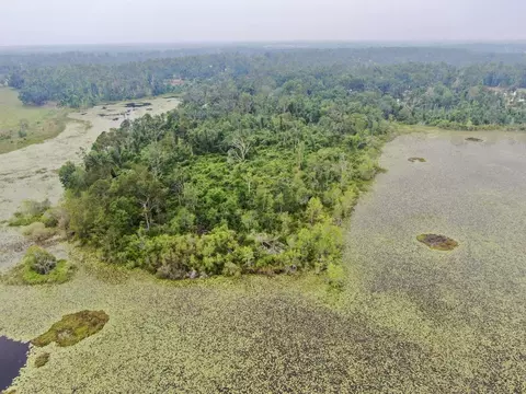 Vacant SW Sr 14, Madison, FL 32340