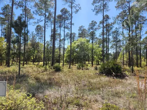0 Breakaway Gap Rd, Tallahassee, FL 32305