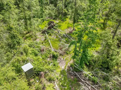 Undisclosed, Monticello, FL 32344 photo 38