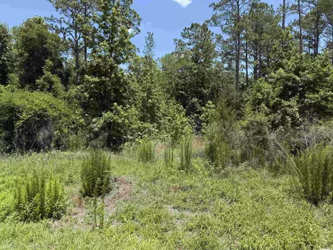 lot47 Blackfoot Rd, Crawfordville, FL 32327