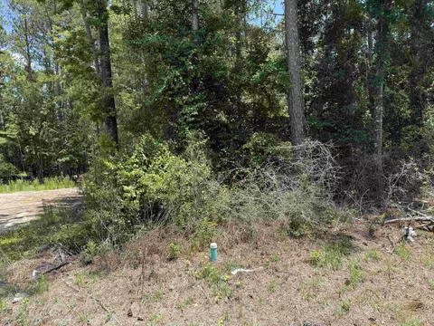 lot49 Blackfoot Rd, Crawfordville, FL 32327