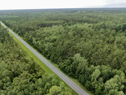 Vacant SW Cr 14, Greenville, FL 32331