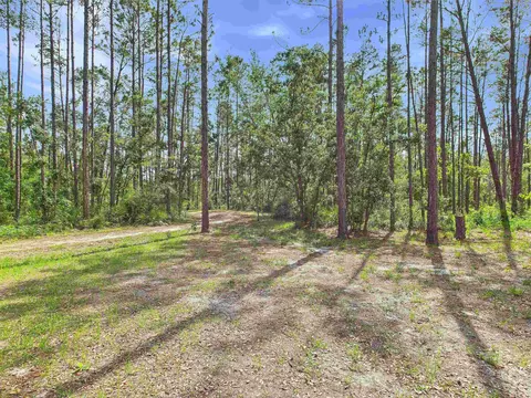 18722 Key Deer Ct, Perry, FL 32348 photo 8