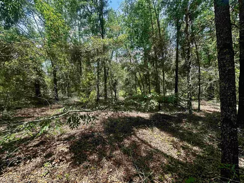 000 NE Jacaranda Ter, Lee, FL 32059 photo 3
