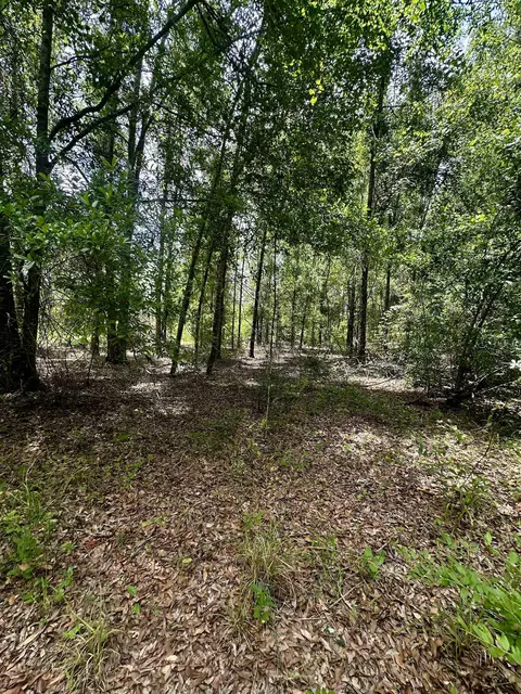 000 NE Jacaranda Ter, Lee, FL 32059 photo 11