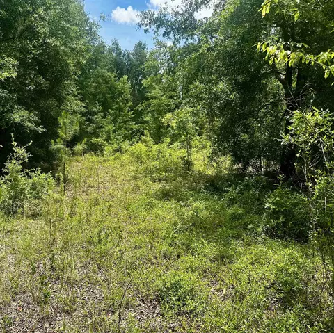 000 NE Jacaranda Ter, Lee, FL 32059 photo 27