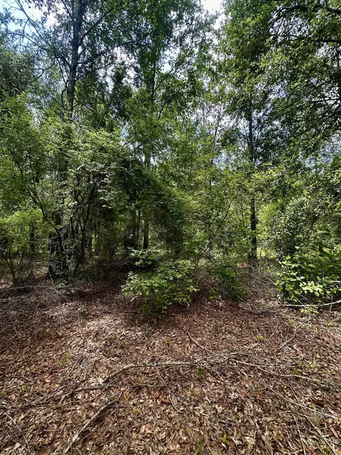 000 NE Jacaranda Ter, Lee, FL 32059 photo 16