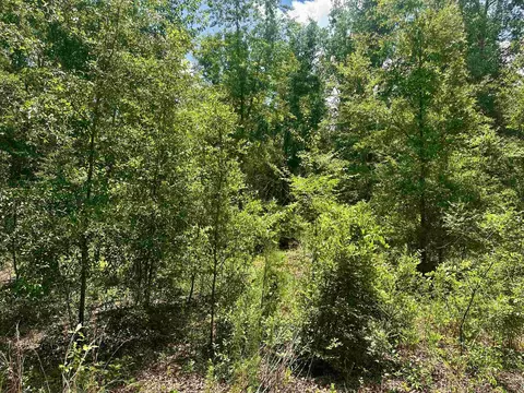 000 NE Jacaranda Ter, Lee, FL 32059 photo 2