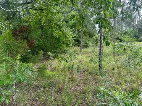 000 NE Jacaranda Ter, Lee, FL 32059 photo 28
