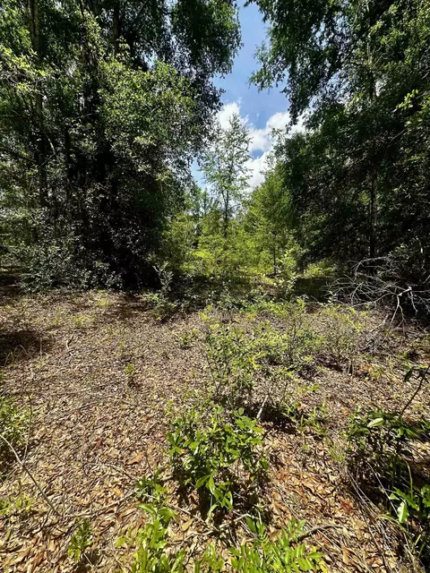 000 NE Jacaranda Ter, Lee, FL 32059 photo 10