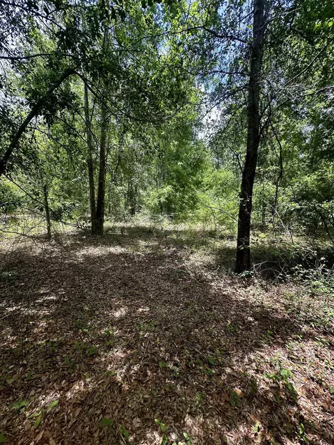 000 NE Jacaranda Ter, Lee, FL 32059 photo 13