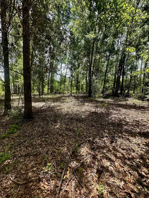 000 NE Jacaranda Ter, Lee, FL 32059 photo 7