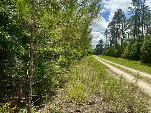 000 NE Jacaranda Ter, Lee, FL 32059 photo 4