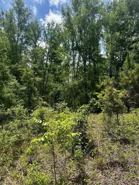 000 NE Jacaranda Ter, Lee, FL 32059 photo 26