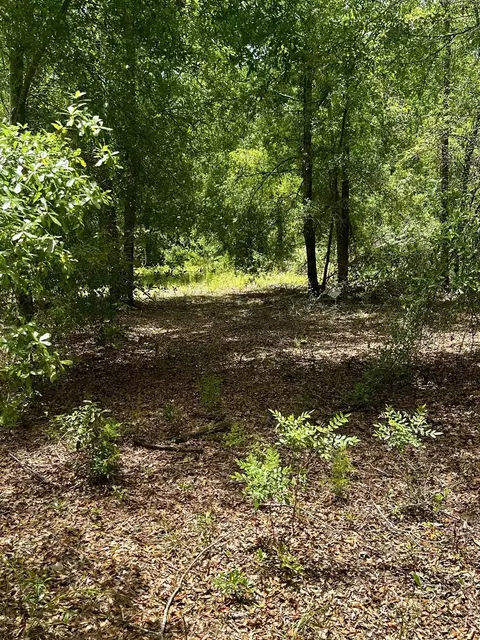 000 NE Jacaranda Ter, Lee, FL 32059 photo 20