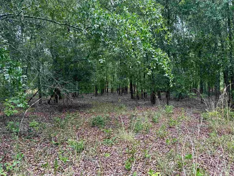 000 NE Jacaranda Ter, Lee, FL 32059