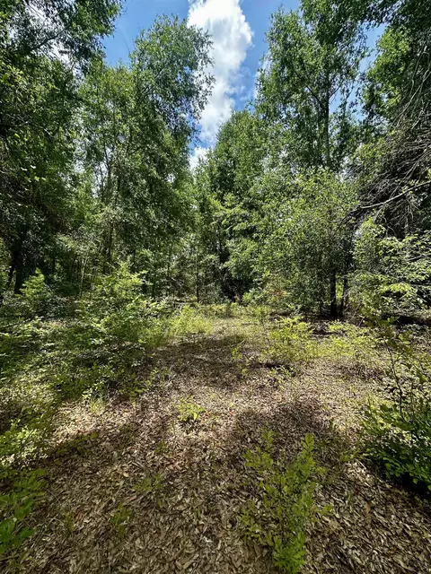000 NE Jacaranda Ter, Lee, FL 32059 photo 6