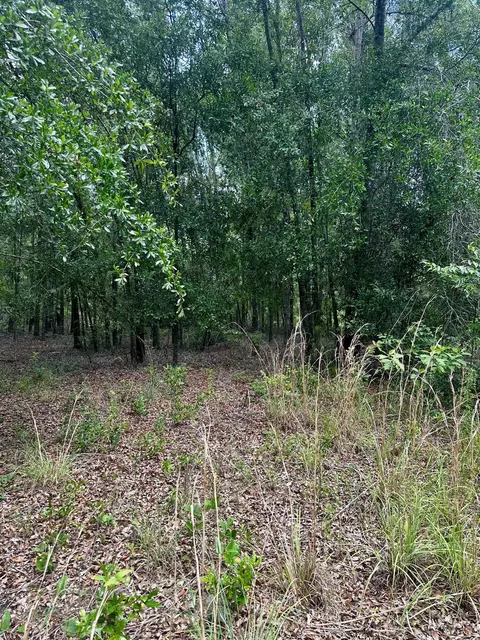 000 NE Jacaranda Ter, Lee, FL 32059 photo 25