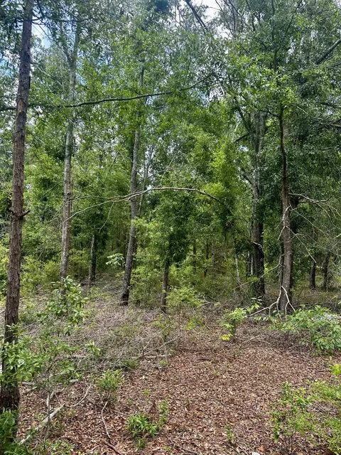 000 NE Jacaranda Ter, Lee, FL 32059 photo 19