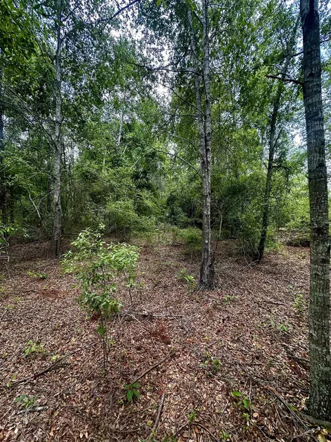 000 NE Jacaranda Ter, Lee, FL 32059 photo 14