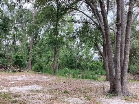 317 SE Centerwood Ln, Lee, FL 32059