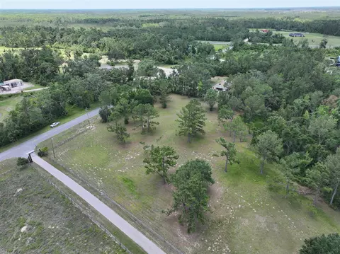 Vacant Valhalla Ranch Drive, Perry, FL 32348 photo 4