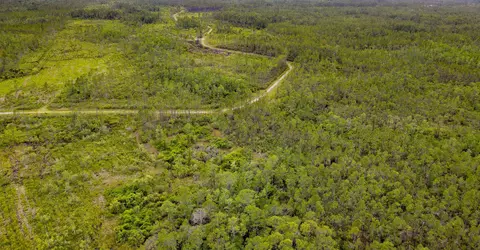 Tract 82 Circle Block Loop, Perry, FL 32348 photo 10