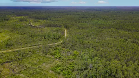 Tract 82 Circle Block Loop, Perry, FL 32348 photo 9