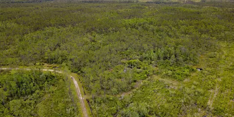 Tract 82 Circle Block Loop, Perry, FL 32348 photo 5