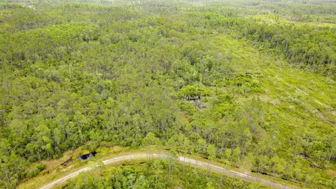 Tract 82 Circle Block Loop, Perry, FL 32348 photo 2