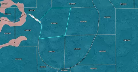 Tract 82 Circle Block Loop, Perry, FL 32348 photo 17